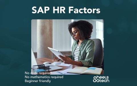SAP HR Factors